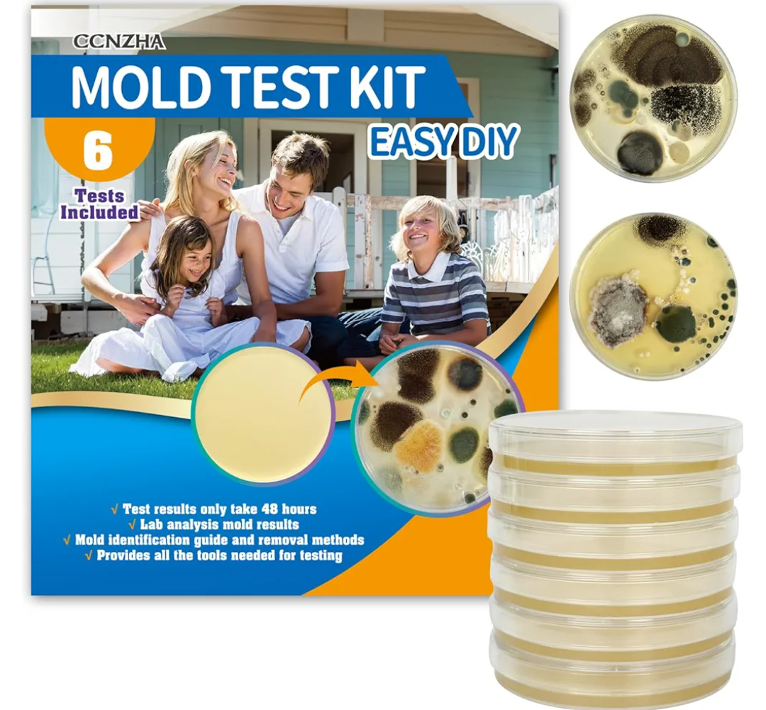 Mold Test Kit for Home -DIY Mold Testing Kit with 6 Individual Tests-Black Mold Detector-Indoor Air Quality Tester-Mold Identification Guide-Free Lab Analysis-Fast and Reliable Mold Detector at Home