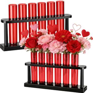 Meanplan 12 Pcs Valentine's Day Plant Terrarium with Holder Rack Clear Red Plant Propagation Station Test Tube Vases for Valentines Table Home Office Kitchen Party Decorations Planter Lover Gift