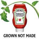 Heinz Tomato Ketchup, 20 oz Bottle (20 Ounce (Pack of 1))