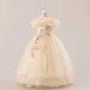 Flower Girl Dresses Lace Embroidery Off The Shoulder Tulle Dress Communion Pageant Wedding Dance Gown (XXL)