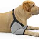 Coodeo Dog Elbow Protector with Adjustable Harness, Soft Breathable Sleeves for Wound Healing & Licking Prevention, D-Rings for Leash, Elbow Pads for Comfort, Designed for Large Dogs (Grey, L)