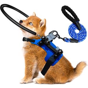 Blind Dog Halo Harness,Adjustable Bumper Halo with 5 FT Dog Leash and Reflective Dog Collar for Protective & Build Confidence,Blind Dog Accessories (S:Recommand Weight 8-22 lbs)