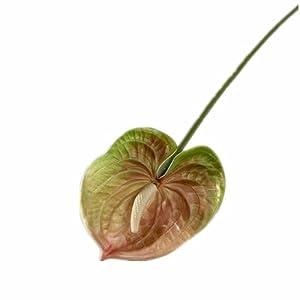 Jiumengya 8pcs Artificial Anthurium Flower Branch 60cm 3D Printing Effect Faux Real Touch Single Stem per Piece Anthurium for Home Table Floral Decoration (chamapgne with Ligth Green)