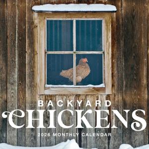 Backyard Chickens 2026 Calendar, 2026 Wall Calendar, Monthly Planner, Planner 2026-2027, Marble City Press, 12 x 24, Sustainable, Plastic Free, Printed on Thick Art Paper