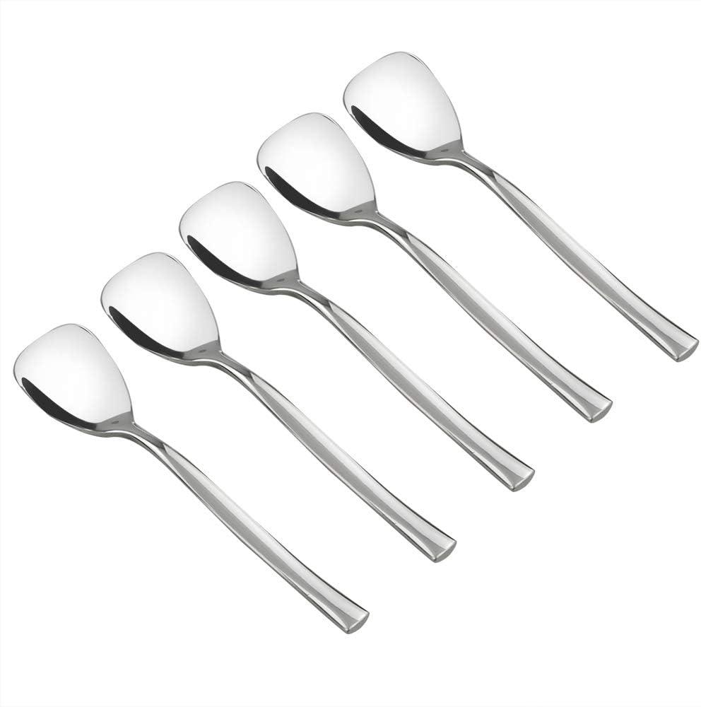 Idomy Set of 12 Stainless Steel Dessert Ice Cream Spoons, 5.51-INCH