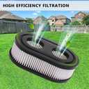 593260 Filter 798452 334404 Cartridge Filter, Lawn Mower Replacement Filters for 4247 5432 5432k 09P00 09P702 550E 500EX 550EX 625 575EX Series Engine