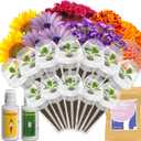Lyko Fragrant Flower Seed Pod Kit for AeroGarden, iDoo, Ahopegarden, GARDENCUBE, 12 Pods with Sunflower, Petunia, Mexican Marigold, Cockscomb, French Marigold, Dahlia, Hydroponics Growing System Kits