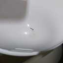 Nuby My Real Potty Training Toilet with Life-Like Flush Button and Sound - 18+ Months - White