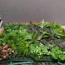 Artificial Grass Wall Panels: 20''x20'' (6PCS) Boxwood Hedge Panels, UV-Anti Privacy Fence Screen, Fake Greenery Backdrop for Indoor Outdoor Garden, Party, Wedding Decor