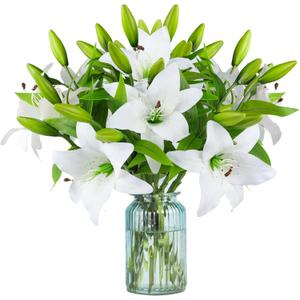 Hananona 9 Pcs Artificial Lily Easter Lily Flowers for Easter, White Flowers Fake Tiger Lily for Spring White Wedding Table Centerpiece Holiday Home Decoration (9, White)