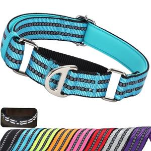 Martingale Dog Collars for Large Dogs, Reflective Nylon No Pull Choke Collar with Padded Heavy-Duty Metal D-Ring No Buckle for Nighttime Walking & Training -Blue L