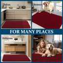 OLANLY Dog Door Mat for Muddy Paws 30x20, Absorbs Moisture and Dirt, Absorbent Non-Slip Washable Doormat, Quick Dry Chenille Mud Mat for Dogs, Entry Indoor Entryway Carpet for Inside Floor, Red