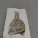 Bookshelf Decor Thinker Statue - Abstract Art Reading Thinker Sculpture Figurine Aesthetic, Modern Home Decoration for Living Room Office Shelves Coffee Table Desk Decor(Beige)