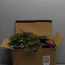 2PCS 6Ft Artificial Norfolk Pine Garlands, Real Touch Winter Christmas Garland, Green Artificial Greenery Garland for Table, Mantle, Wall, Indoor, Outdoor Christmas Decorations (2, 6FT)