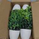 4 Pack Fake Plants Ceramic Mini Artificial Greenery Potted Plants for Home Decor Office Decor Room Decor Farmhouse Decor Indoor Table Bathroom Decor (White)