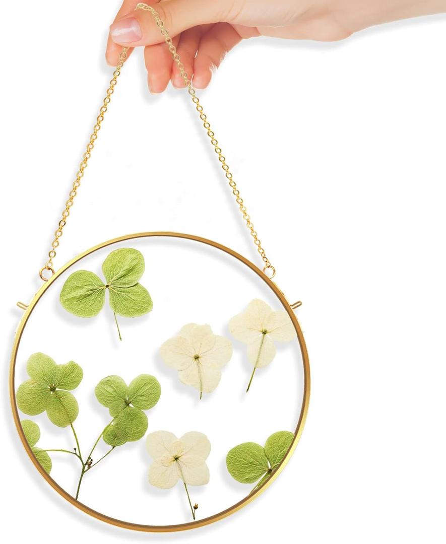 TLBTE 8x8 inch Round Brass Hanging Photo Frame, Double Side Circle Glass Frame for Pressed Flowers, Clear Circular DIY Vintage Artwork Display Picture Frame Wall Mounted