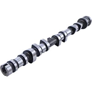 HOLDWELL Exhaust Camshaft DS7Z-6250-E DS7Z6250E Compatible with Ford 2014-2020 Fusion 2017-2019 Escape 1.5L L4