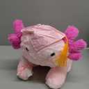 HyDren 2026 Graduation Gifts Plush Axolotl 10 Inch Stuffed Animal Signature for Class of 2026 Graduation Congratulations with Cap Plushies Certificate Axolotl Bear for Students Gifts(Pink)