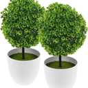 Amosfun 2Pcs Artificial Topiary Balls in Pots Simulated Boxwood Eucalyptus Plants Decorative Indoor Table Centerpieces for Home Office Relaxation