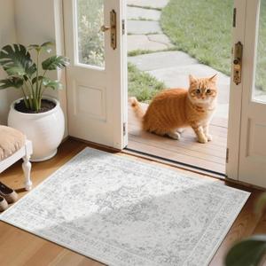 2x3 Vintage Washable Area Rugs for Entryway Soft Non-Slip Bath Mat Boho Medallion Distressed Retro Accent Carpet Floral Low Pile Indoor Throw Rug for Kitchen Laundry Living Room Bedroom, Gray (Grey)