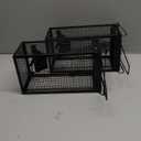 2 Packs Humane Rat Trap Outdoor Mouse Traps Indoor Use, Rodent Chipmunk Traps for Small Live Animal Catch and Release - Black