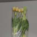 15 pcs Cream Tulips Artificial Flowers Faux Tulips Real Touch Latex Fake Flower Bouquet for Spring Wedding Home Décor Centerpiece Arrangements