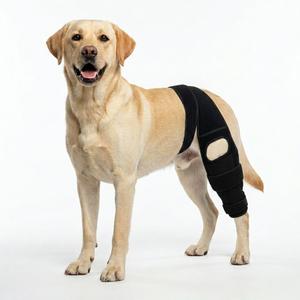 Dog Leg Braces for Back Leg- Dog ACL Brace for Torn and Back Hind Rear Legs ACL Tear, Dog Leg Brace for Hip Dysplasia, Dog Arthritis, Luxating Patella(Size XL)