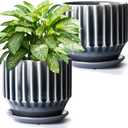 AISBUGUR Plant Pots 6 inch Ceramic Pots for Indoor Plants Set of 2 Flower Pots Unique Crackle Glaze Design Plant Pots with Drainage Hole and Saucer Come with Drainage Nets (Grey) (Gray)