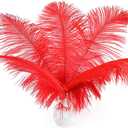 24pcs Natural Bright Red Ostrich Feathers 10-12inch (25-30cm) for Wedding Party CenterpiecesFlower Arrangement and Home Decoration