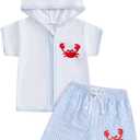 Toddler Baby Boy Swim Cover Up Zipper Towel Terry Hood Tops Seersucker Gingham Shorts Set 2pcs Beach Bathing Suit (12-18 Months, Sky Blue)