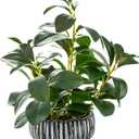 AlphaAcc Artificial Plants Decor Greenery Fake Succulents Indoor Potted Fake Plant with Rustic Black Clay Planter for Home Decor Farmhouse Room Bathroom Bedroom Kitchen Office Table Decor