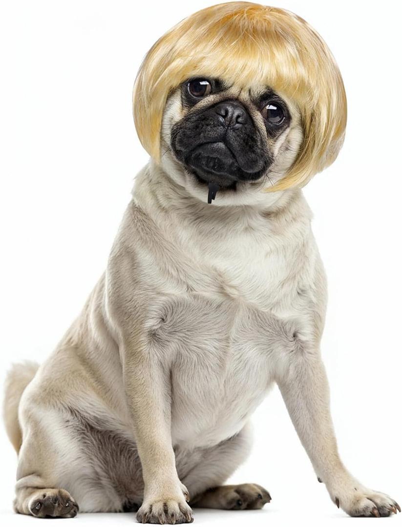 Cobee Funny Dog Cat Cosplay Wig, Pet Wig-Adjustable Costume Pet Funny Headwear Costumes Headgear for Small Medium Large Dog Cat Wigs Dress Up Decorations for Halloween, Christmas, Parties (Gold)