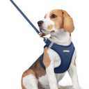 Rabbitgoo Dog Harness, Step in Soft Light Puppy Vest, Breathable Mesh Pet Harness, Reflective for Safe Outdoor Walking, Navy Blue, L (Chest: 18.2 - 20.5")