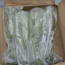 24 Pcs Green Plastic Champagne FlutesGreen Champagne Glasses Bulk, Made of Durable Plastic Material Can be Used for Weddings, Everyday Fun Parties and More