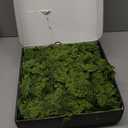 6ft Double Fullness Christmas Cedar Garland Artificial Realistic Thick Soft Green Faux Winter Greenery Pine Garlands for Fireplace Mantel Table Doorframe Indoor Outdoor Xmas Holiday Decoration