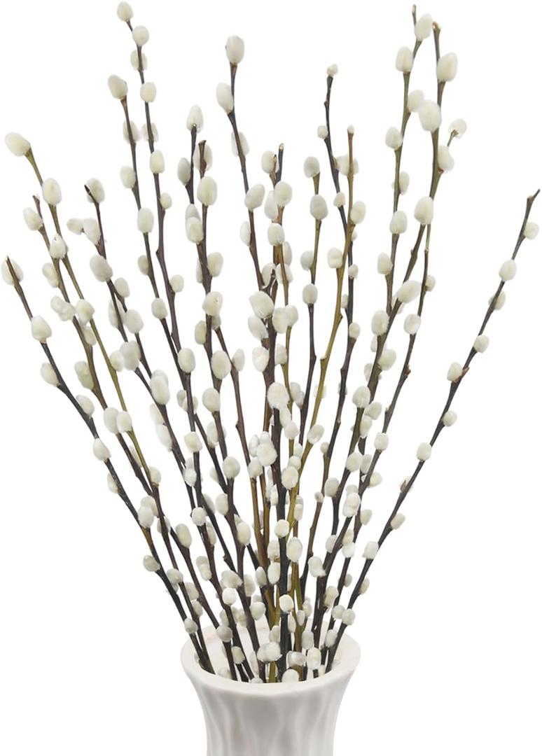 ACRYCS 20 Pcs Natural Preserved Dried Flowers Pussy Willow Branches for Vases Stems Real Willows 19.7" White Snow Pussywillows for Indoor and Outdoor Decor Wedding Home Party Hotel Fireplace Easter