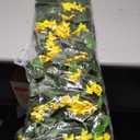 Expandable Fence Privacy Screen for Balcony Patio Outdoor,Decorative Faux Ivy Fencing Panel,Artificial Hedges (Single Sided Leaves) (4, Yellow Flowers) 45"L X 12"W