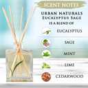 Urban Naturals Eucalyptus Sage Reed Diffuser Oil Gift Set Eucalyptus, Sage, Mint, Lime & Cedarwood Essential Oils Relaxing Scent Sleek Rectangular Refillable Glass Bottle Made in the USA
