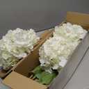 3 Pcs Real Touch Hydrangea Artificial Flowers, 21" White Full Faux Hydrangea Flowers Latex Fake Flowers for Home Decor Party Floral Arrangements Wedding Bouquets Centerpieces Outdoor Decor