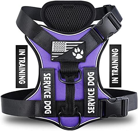 Demigreat Service Dog Harness, Reflective Dog Vest Harness with 5 PCS Patches, Adjustable Soft Oxford Pet Harness, Inner Layer Mesh, Easy to Control for Dogs SizeM