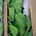 FLOWORLD Fiddle Leaf Fig Tree 6ft Tall Artificial Tree in Pot Fake Ficus Lyrata Plants with 184 Decorative Fiddle Leaves Faux Fig Trees for Home Office Living Room Decor Indoor Outdoor, 2 Pack