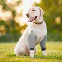 Oudain 2 Pairs Dog Elbow Protector Dog Recovery Sleeve with Elastic Band Soft Padded Adjustable Front Leg Braces for Small Medium Large Doggy, 2 Colors(Large)