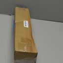 BLUE PANDA Reusable Plastic Cups - 16 Oz, Light Pink, 24 Count - Light Pink Stadium Tumblers & Pastel Stadium Cups - Washable Bulk Drinkware