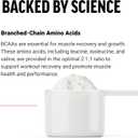 Force Factor BCAA Amino Acids Supplement 2:1:1, Delicious and Refreshing BCAA Powder to Support Muscle Recovery and Performance, No Artificial Colors or Flavors, Orange Mango, 30 Servings