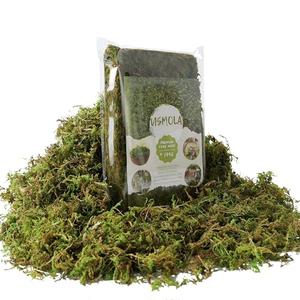 USMOLA Fake Green Moss for Potted Plants, 4OZ Artificial Moss for DIY Crafts, Faux Moss for Table Centerpieces Fairy Garden Decor (Fresh Green 140gr)