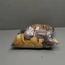 Zhanmai 6 Pieces Safari Stuffed Animals Plush Jungle Animal Toys Set for Boys Girls, Lion Elephant Zebra Giraffe Tiger Monkey for Animal Themed Parties Student Award