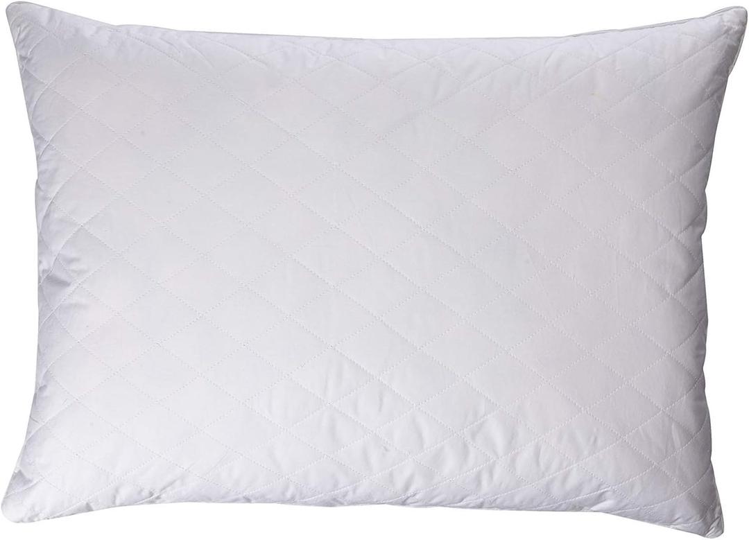 Blue Ridge Home Fashions K200506 Quilted Goose and Feather Down Jumbo Pillow in White (Set of 2), 2 Count (Pack of 1)