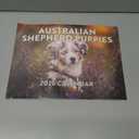 Australian Shepherd Puppy Calendar 2026 Monthly Wall Calender 12 Month | American Made In The USA