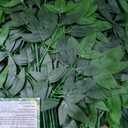 60Pcs Fake Nandina Greenery Stems 18" Artificial Silk Greenery Leaves for DIY Bouquet Filler Table Centerpieces Decor
