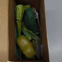 Remote Controlled Large Dinosaur Toy for Boys 3 4 5 6 7 8 Years, Lifelike Tyrannosaurus with Water Mist, Light, Roaring, Electrical Dinosaur Birthday Gifts for Kids Toddlers